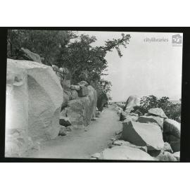 Road to Arcadia jetty