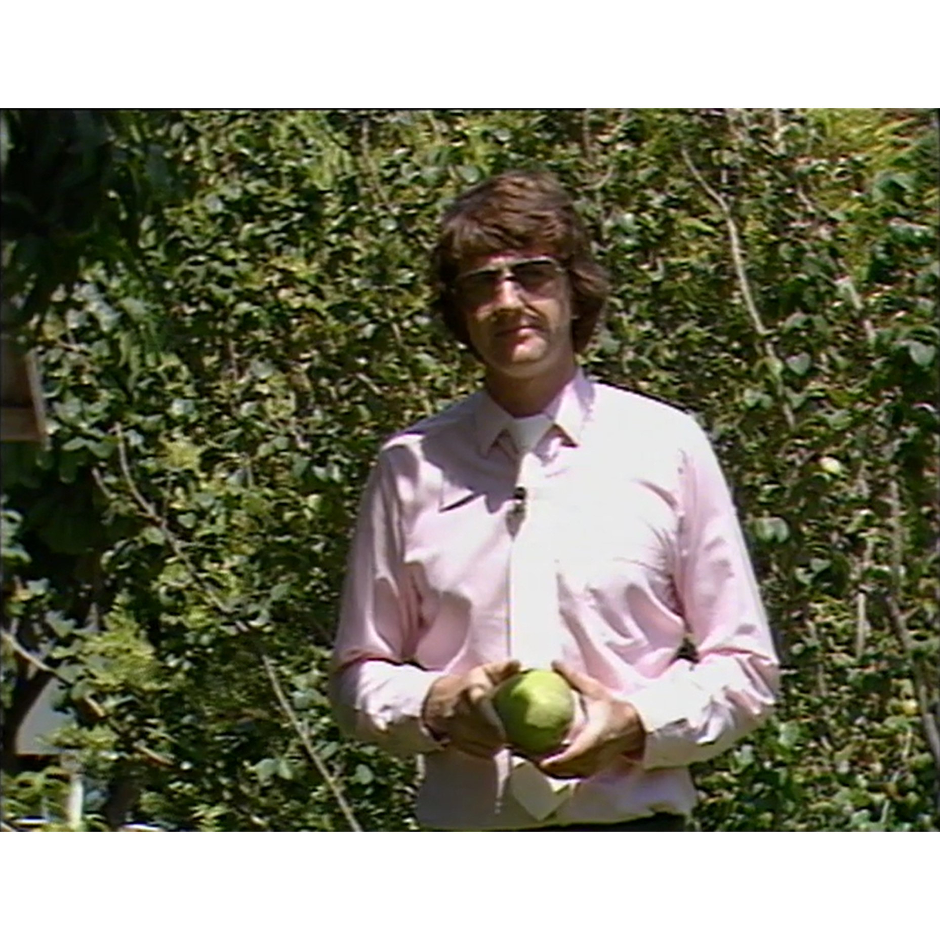 Mango footage