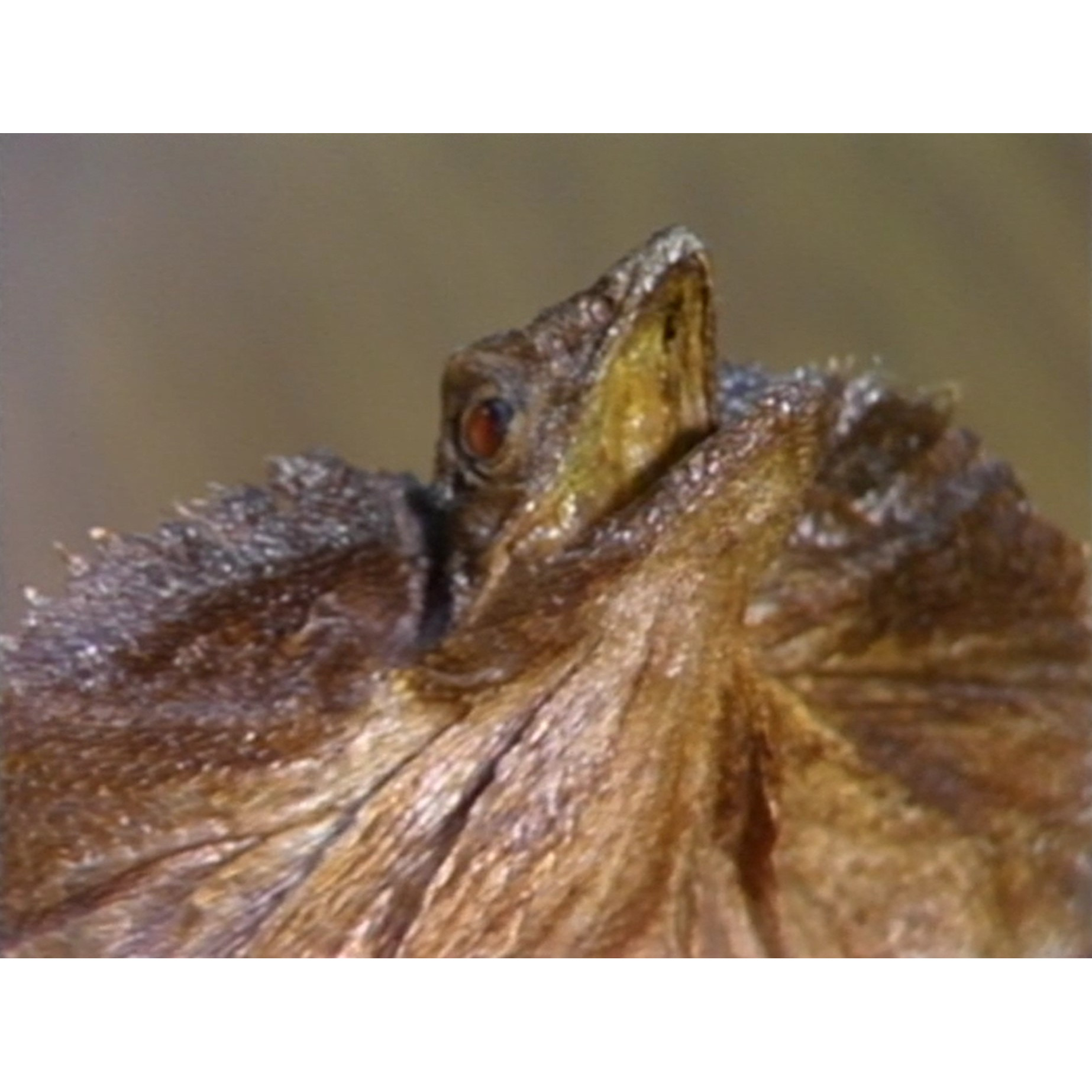 News University 22/6/83