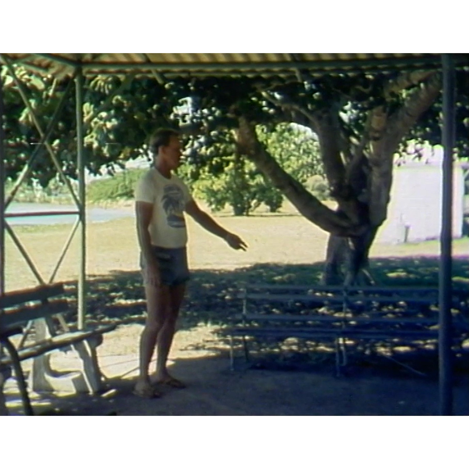 News 17/8/83 Walk Don’t Run stinger film