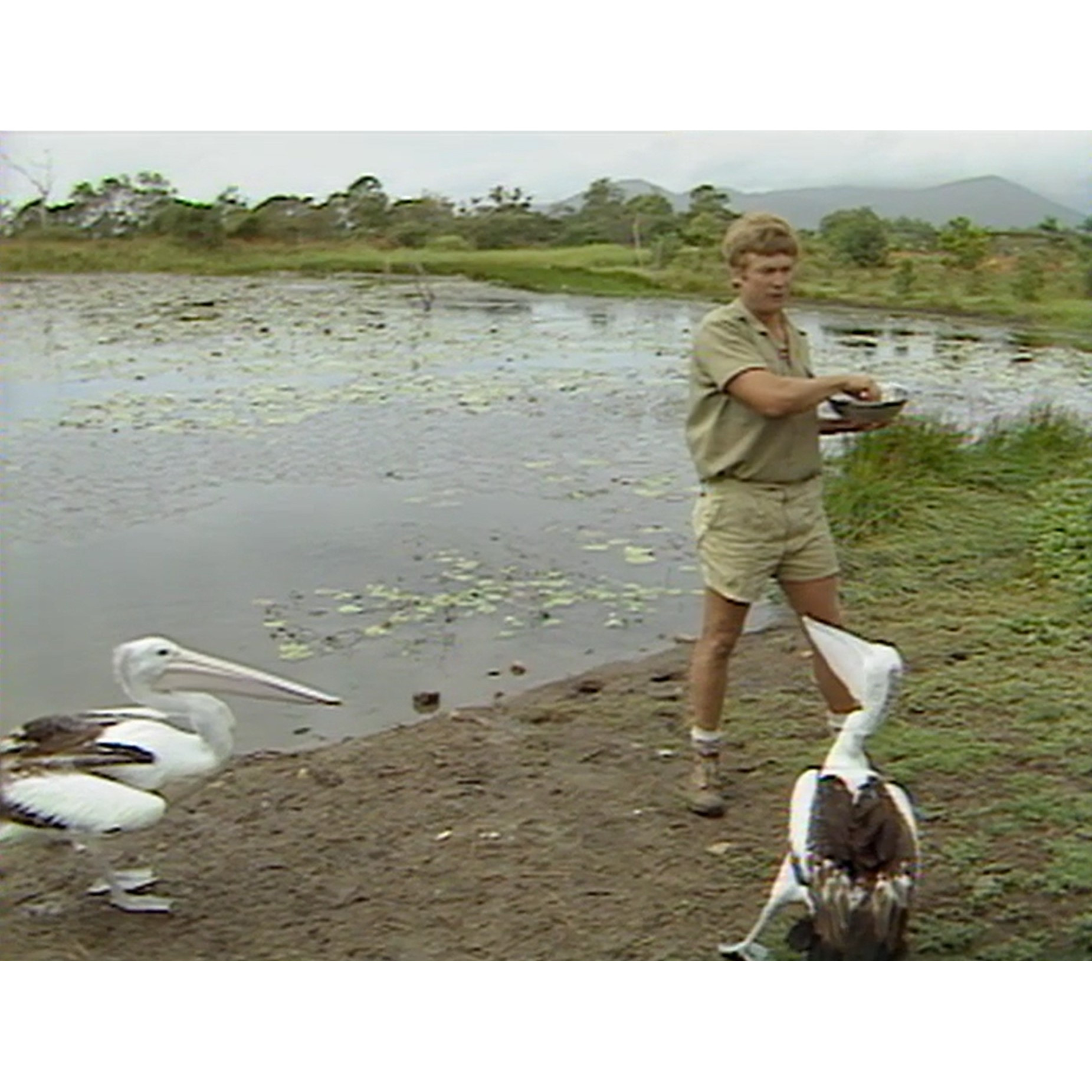 Billabong Park tape 3