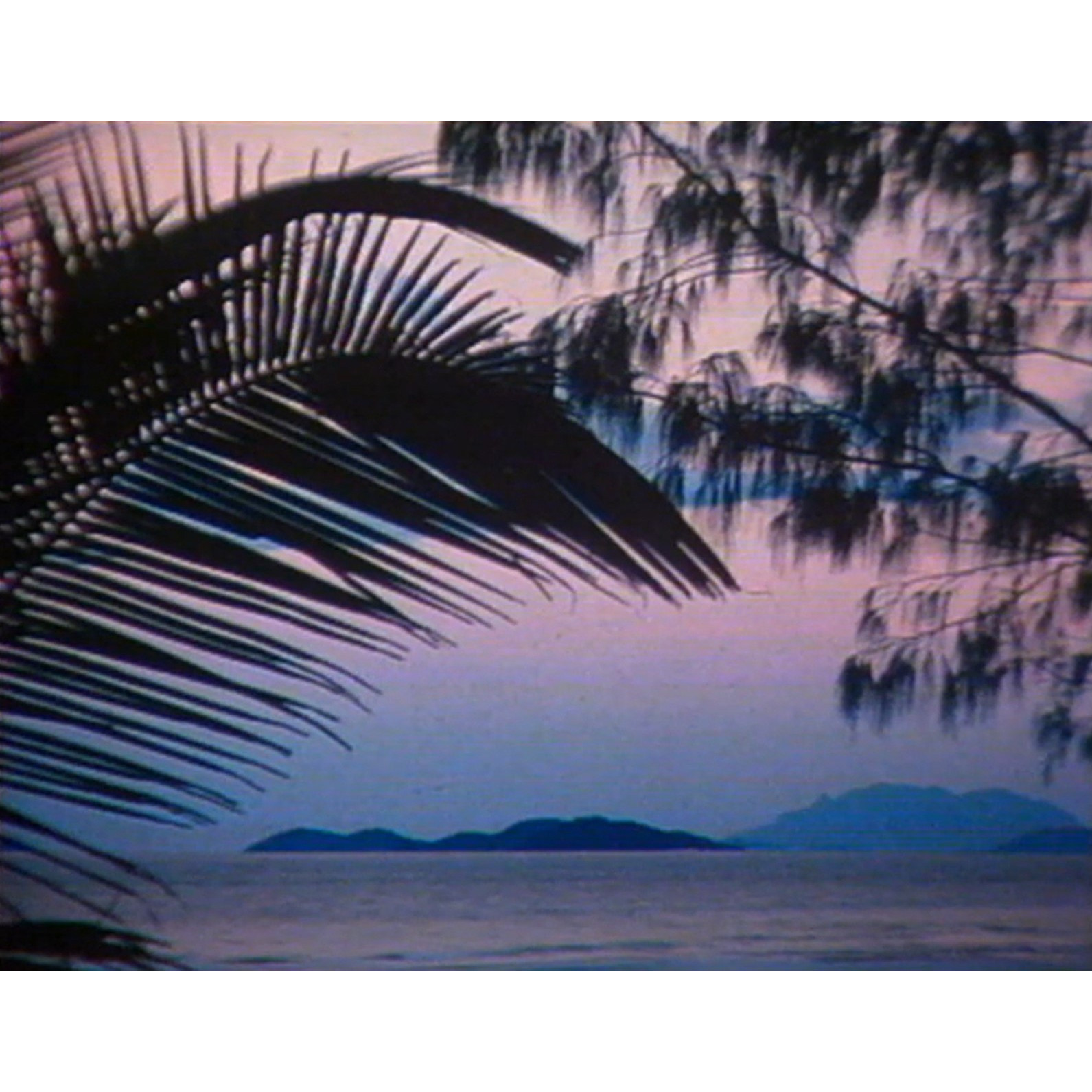 Mission Beach Hotel Motel advertisement