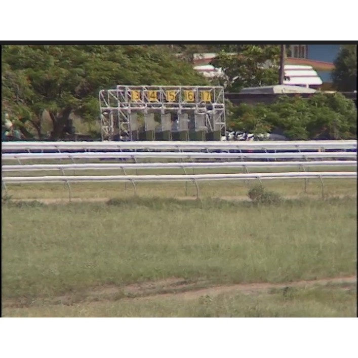 Cluden Races (picnic in the park)