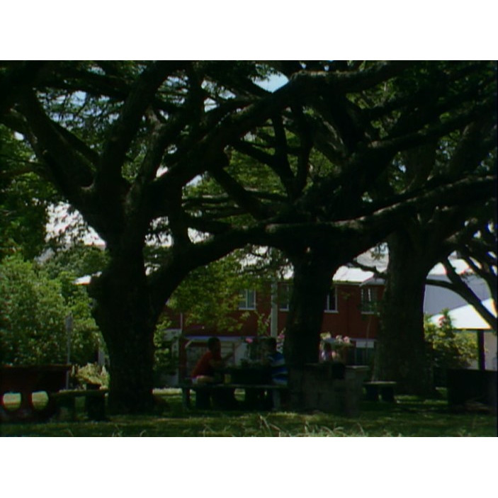 "282 Days" documentary and station closer, tape #6, far north Queensland