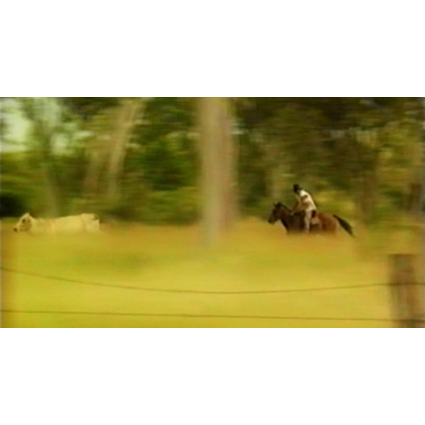 North Queensland Cowboys commercial