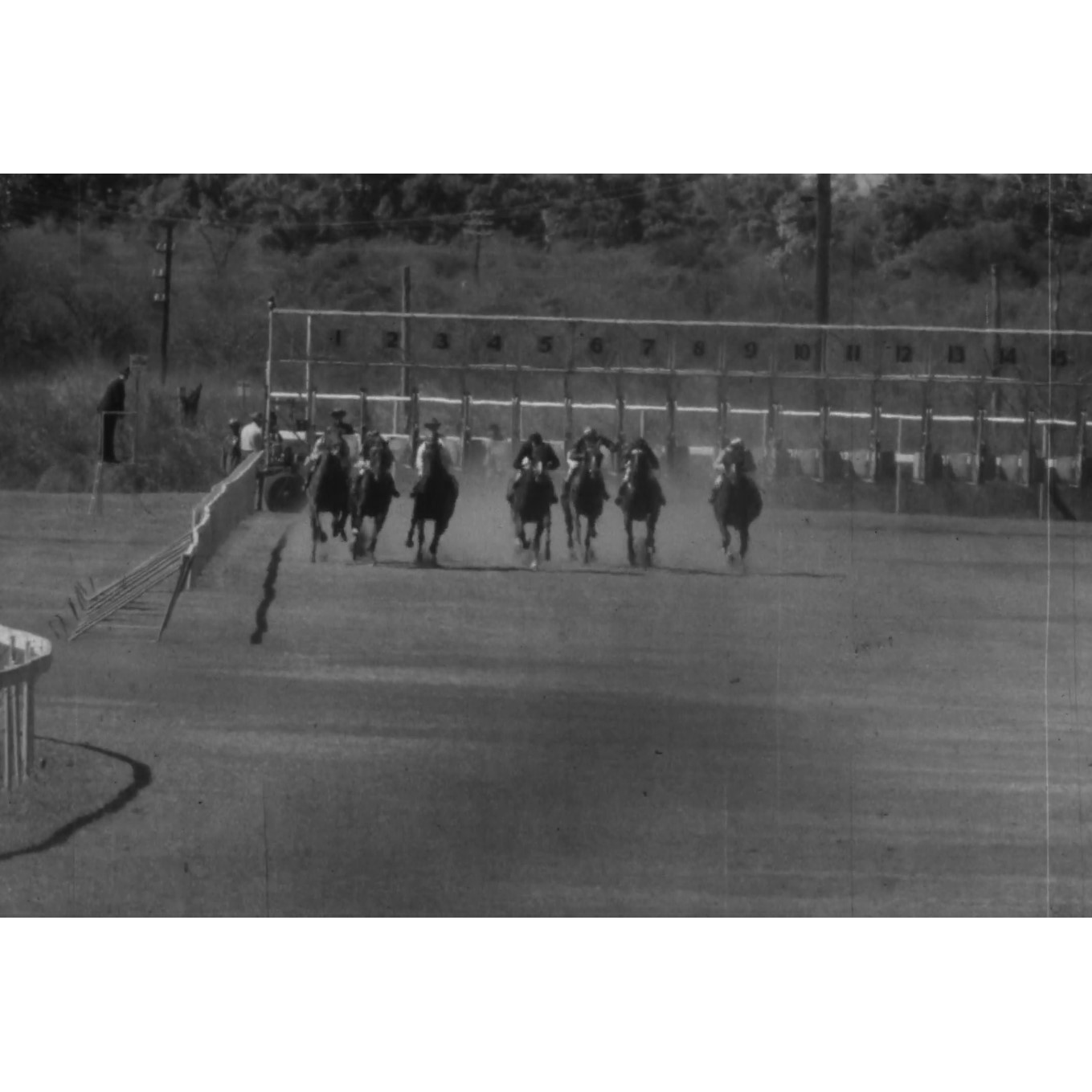 Cleveland Bay Handicap 1973