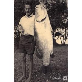 Ollie Cole with 68 pound barramundi, Haughton River, ca. 1980
