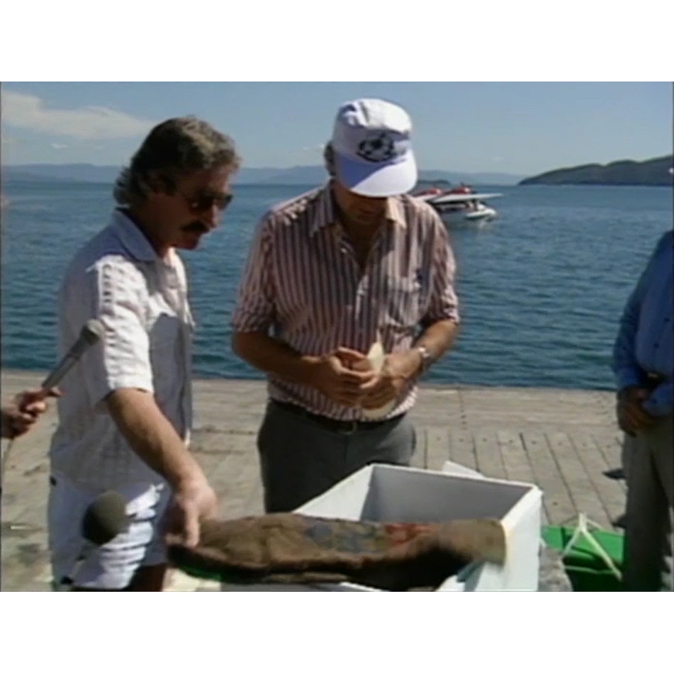 Newsweek 05/07/1983 Hinchinbrook Island 