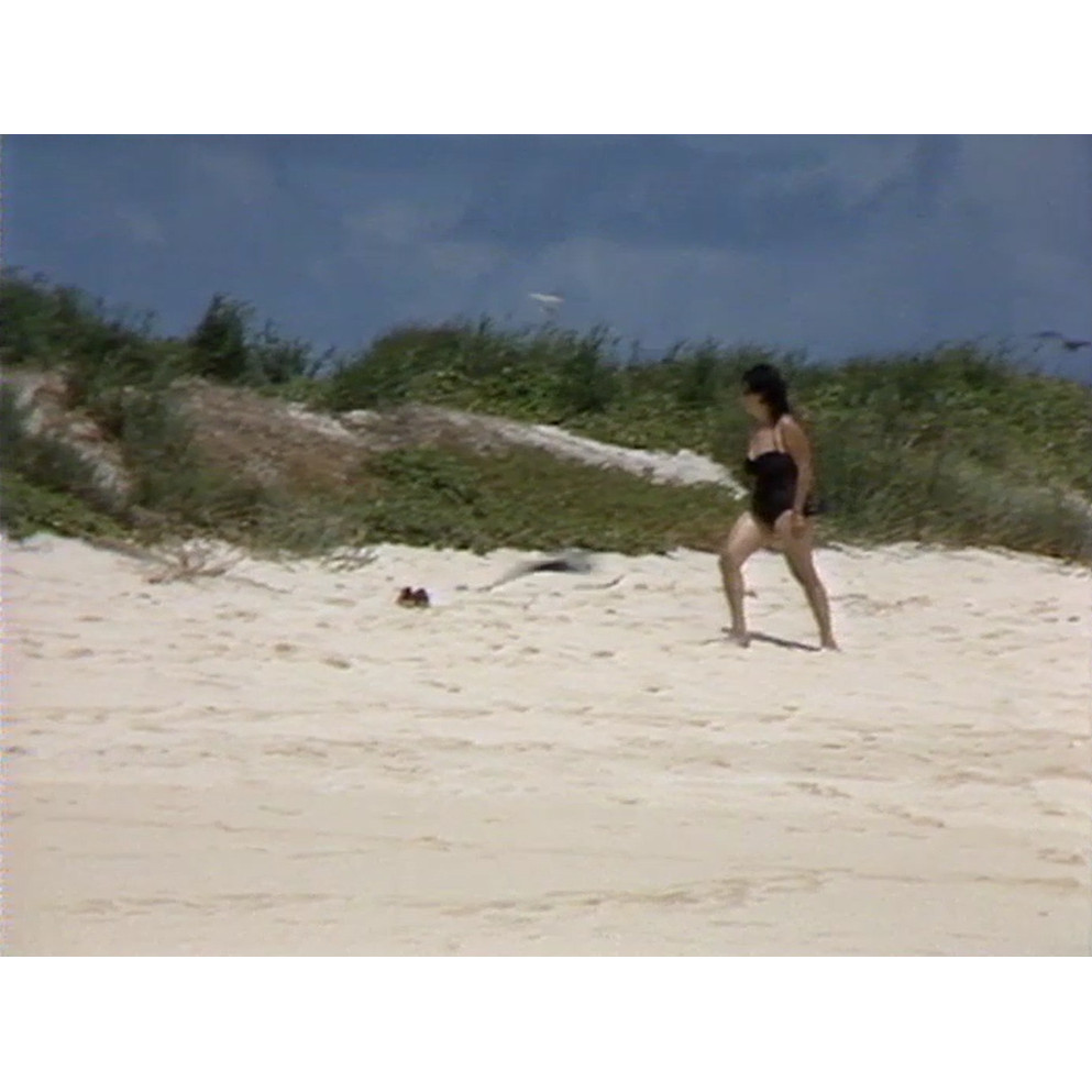 Michaelmas Cay edited master