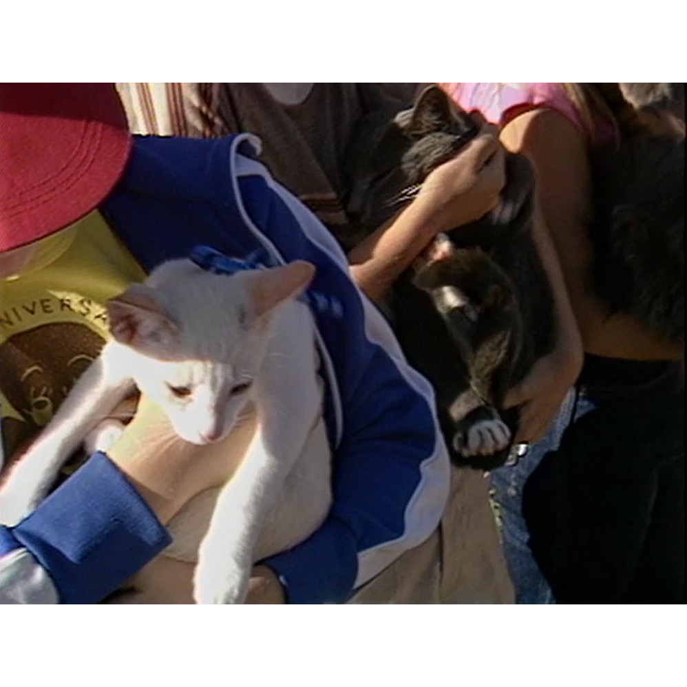 NQTV News 06/07/1983 Townsville Show