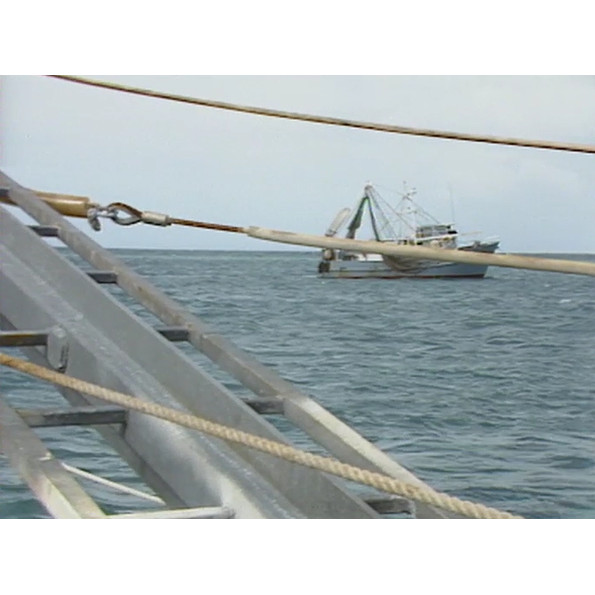 Newsweek tape 2/2 coastal surveillance 04/04/1984