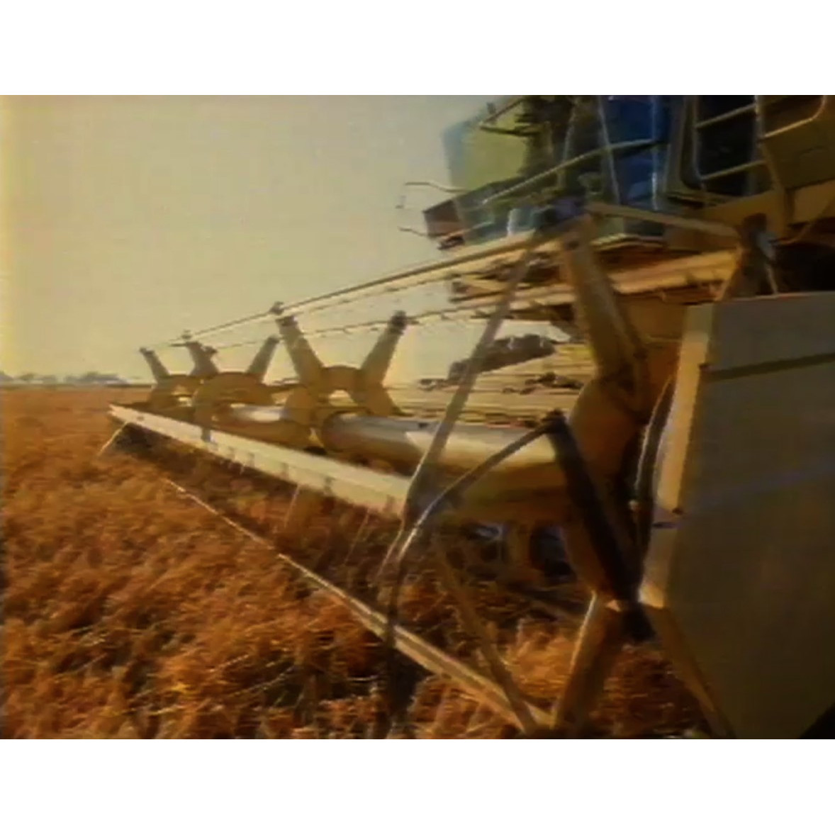 NQTV News Thursday 1st December 1988