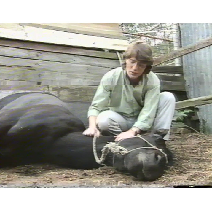 Television commercials compilation and miscellaneous 