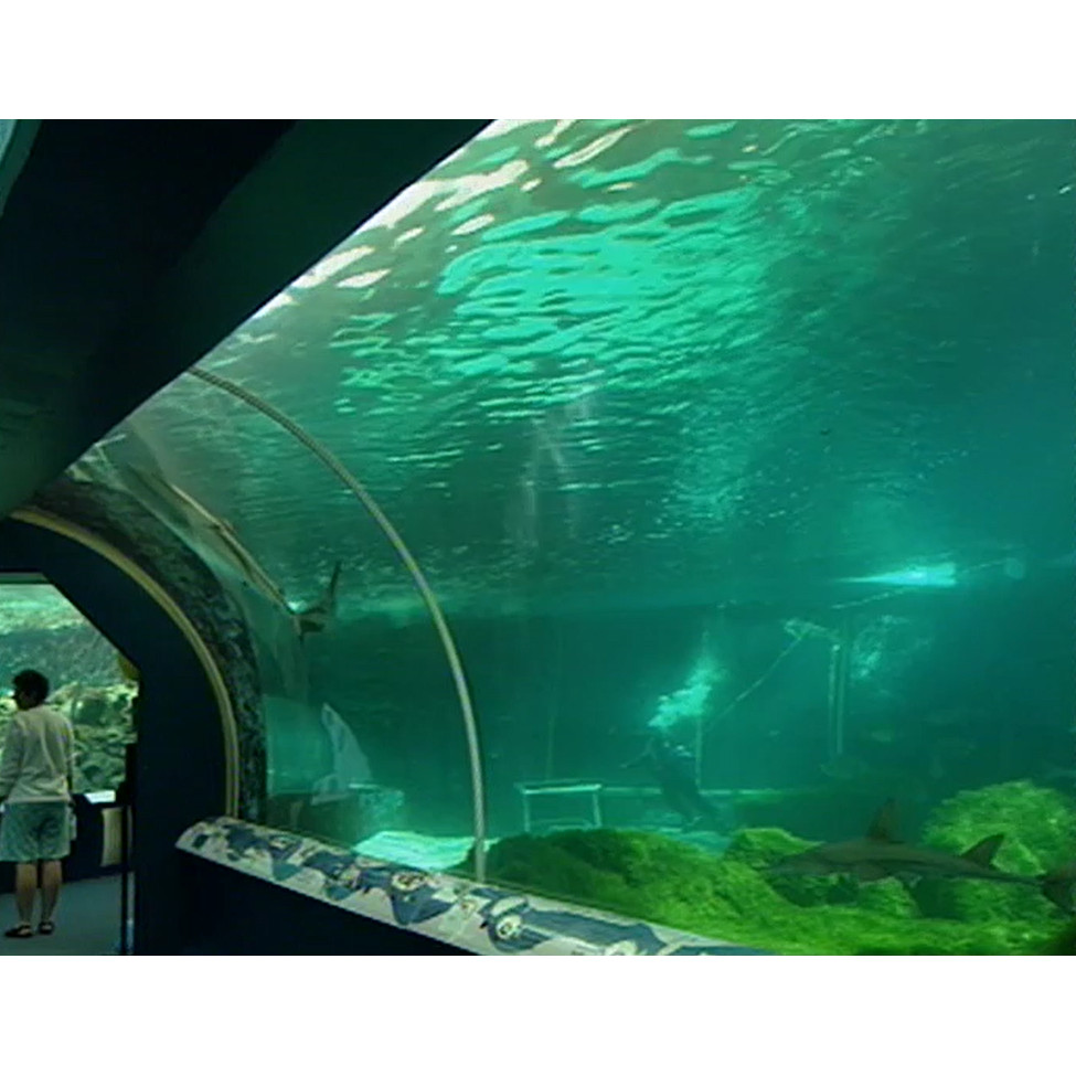 Great Barrier Reef Wonderland promo