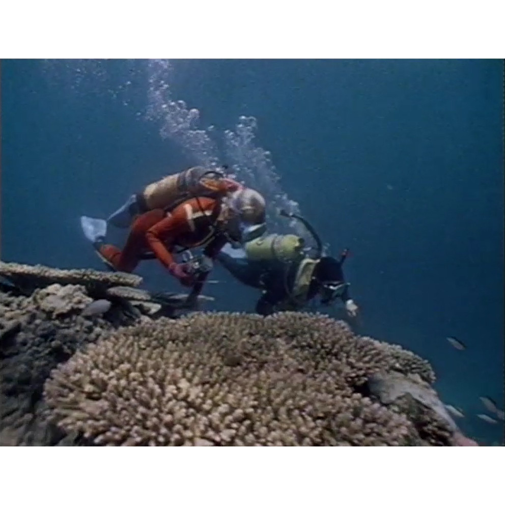 A day on the Great Barrier Reef