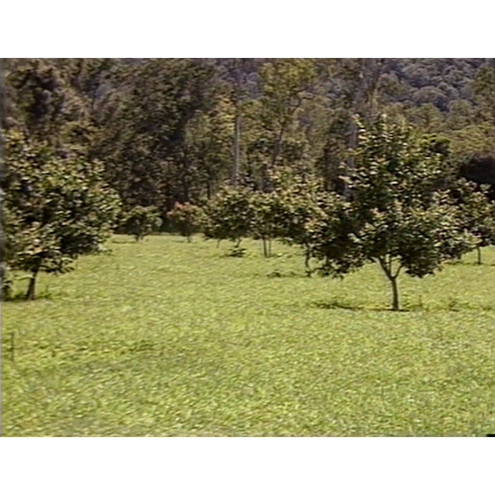 "Edenvale"