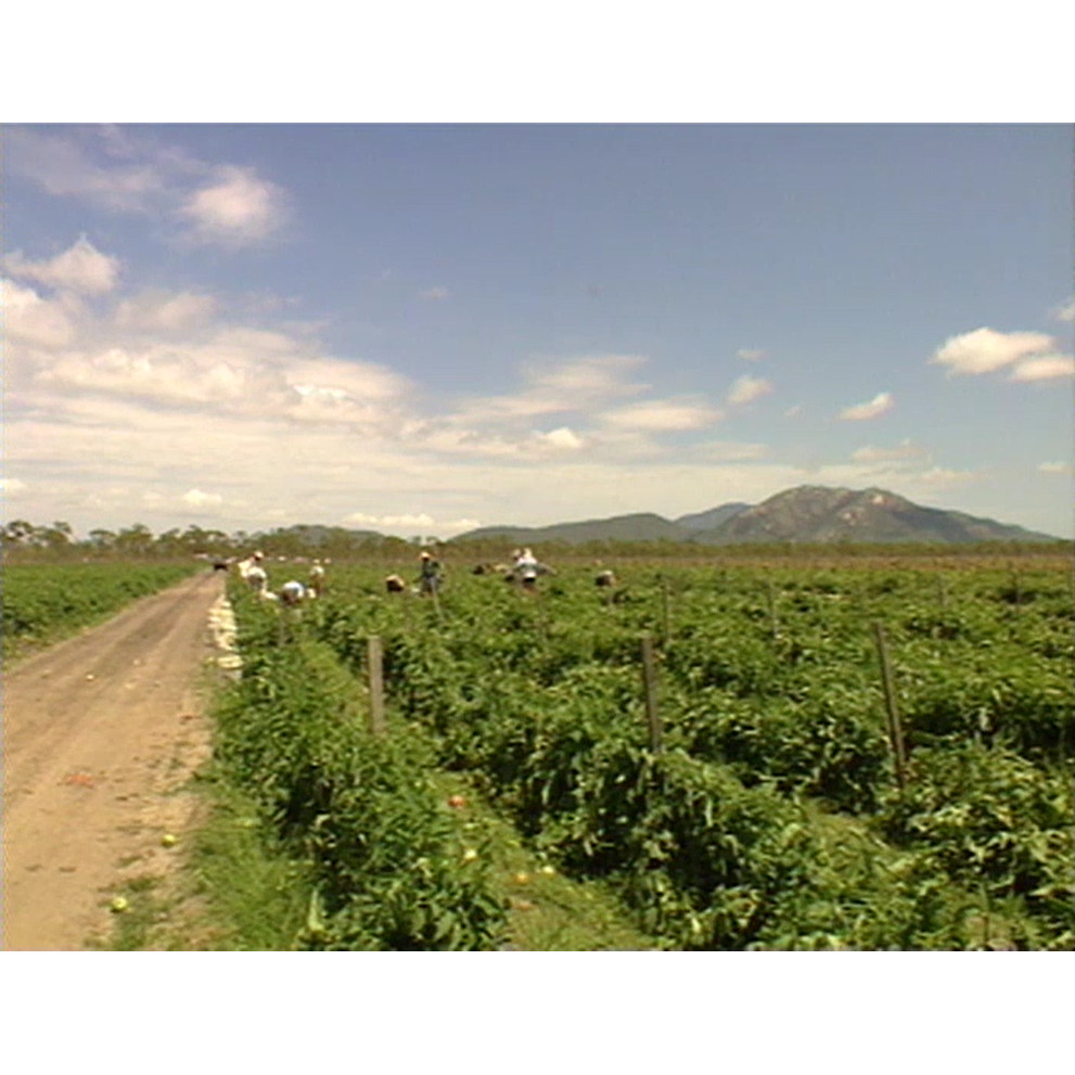 The story of the Goltl Family