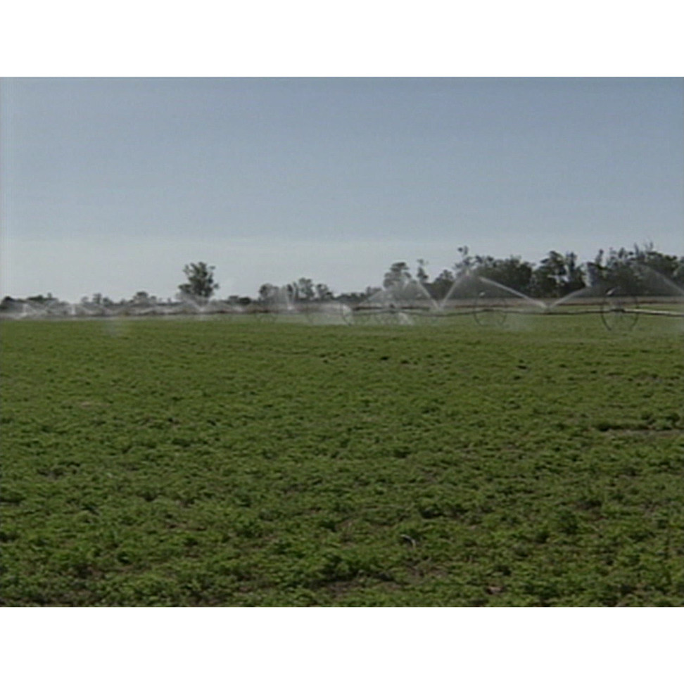 Combined Rural Traders promo