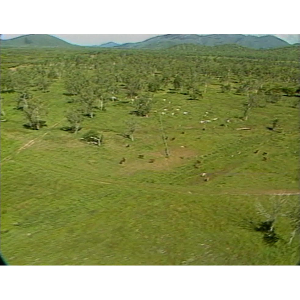 Bentley Estate promo