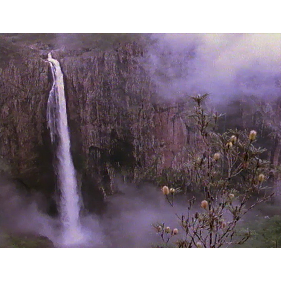 Townsville tourism reel