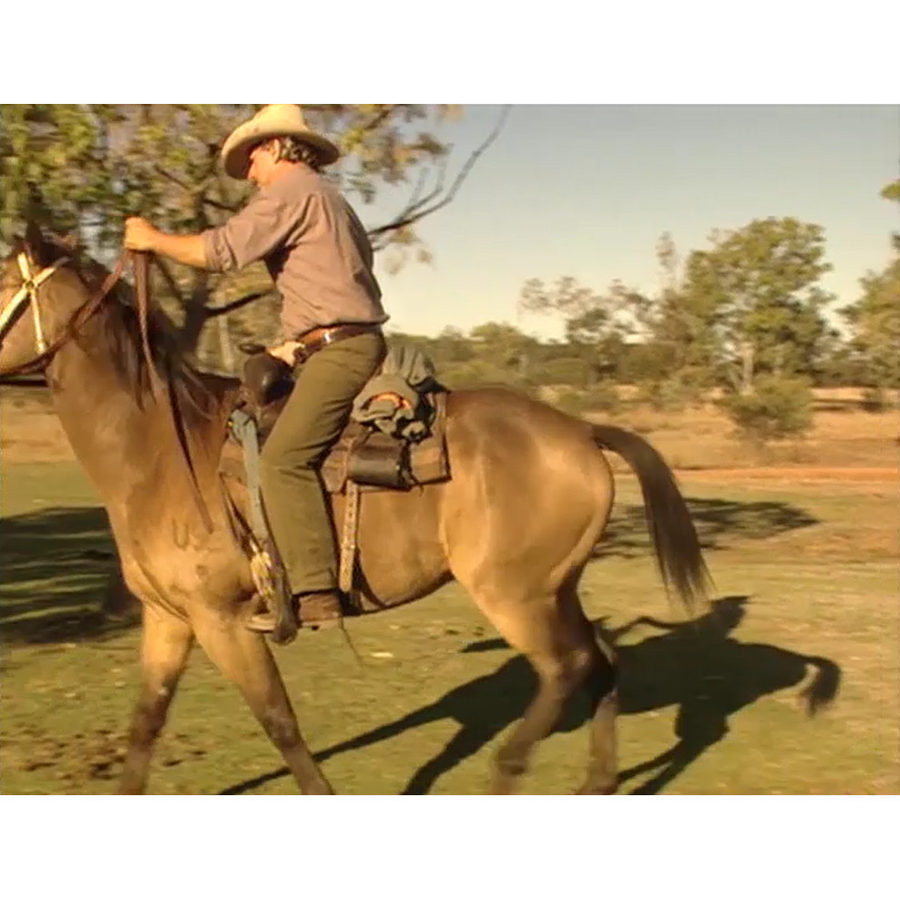 “The Old Grey, the Eagle, and me” music video