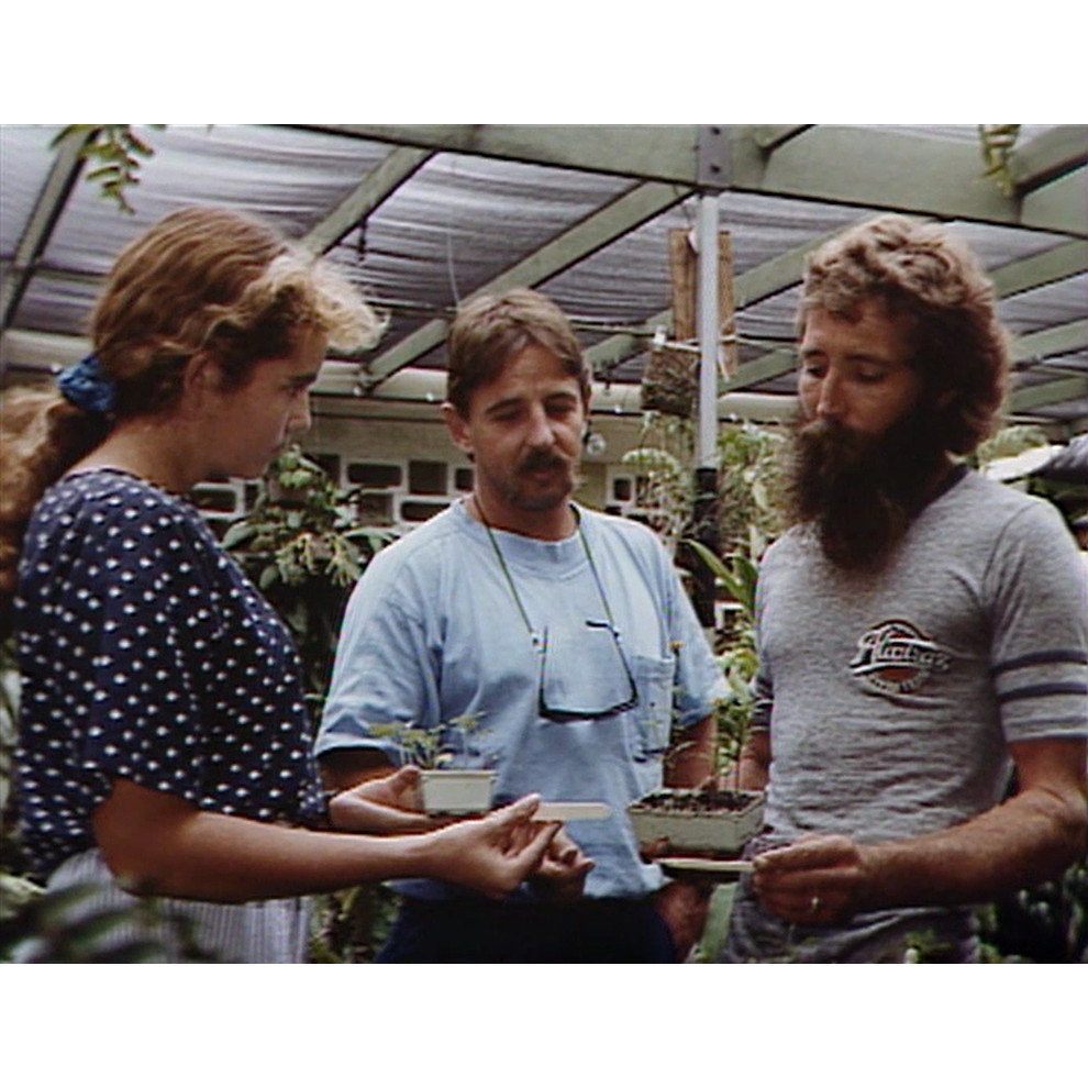 Townsville College of TAFE promo