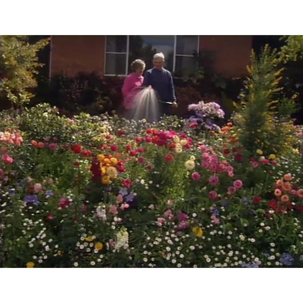 QTV station ID: Toowoomba