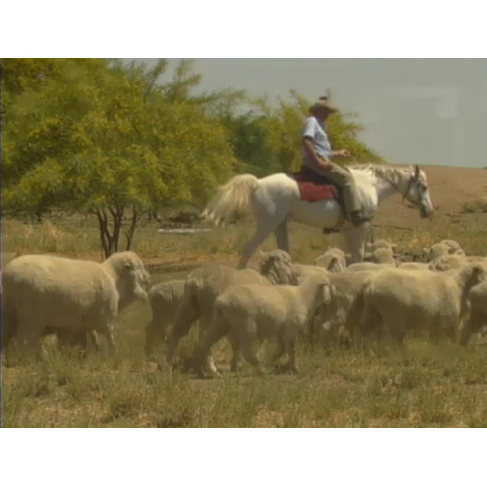 QTV station ID: Mount Isa
