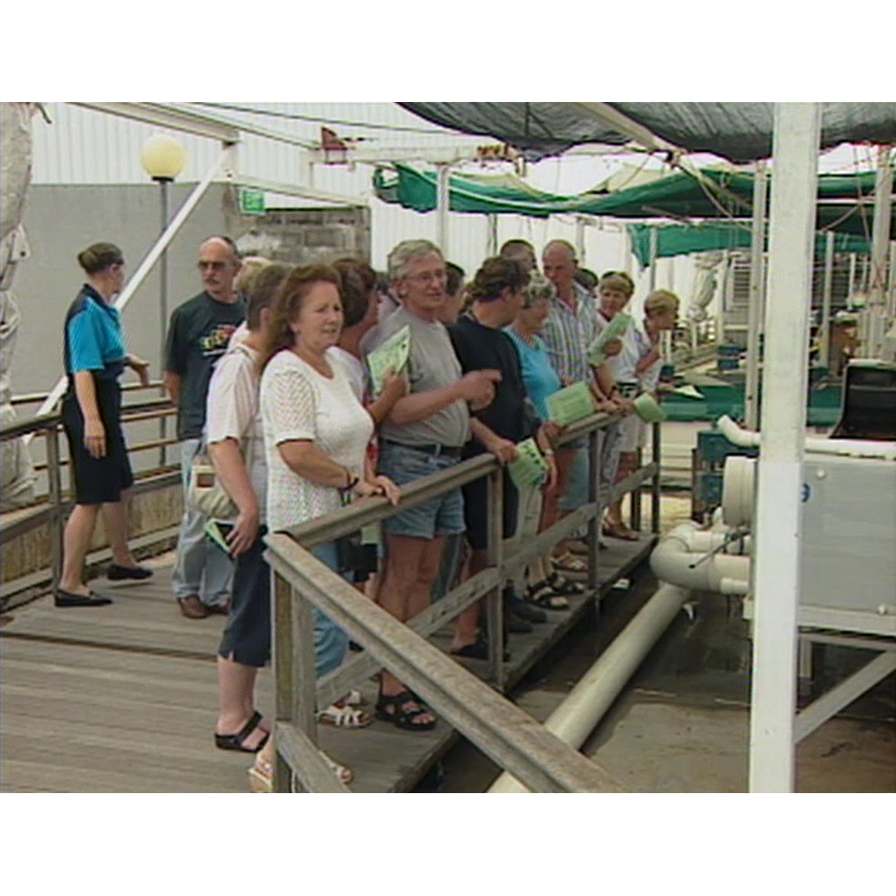 News vision compile tape 2