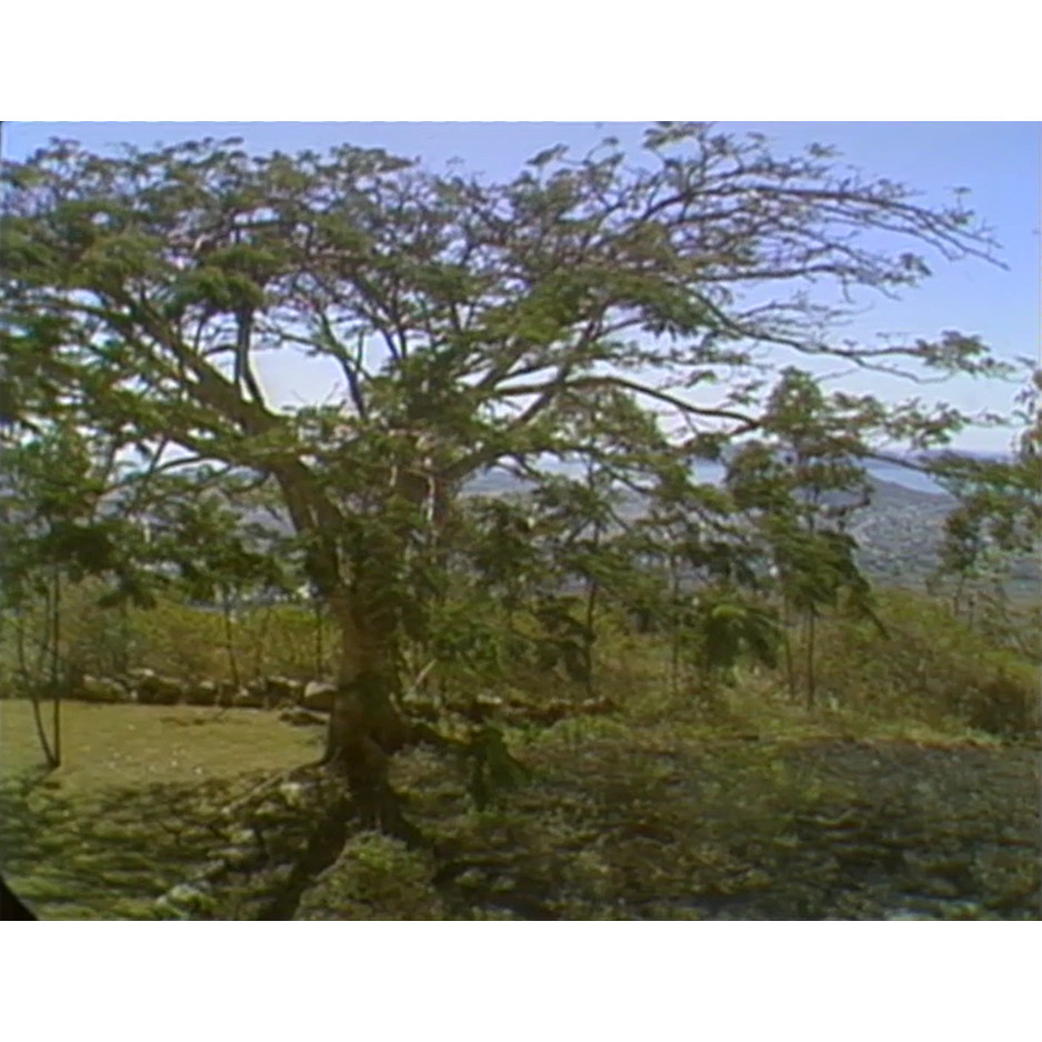 Mount Stuart studios