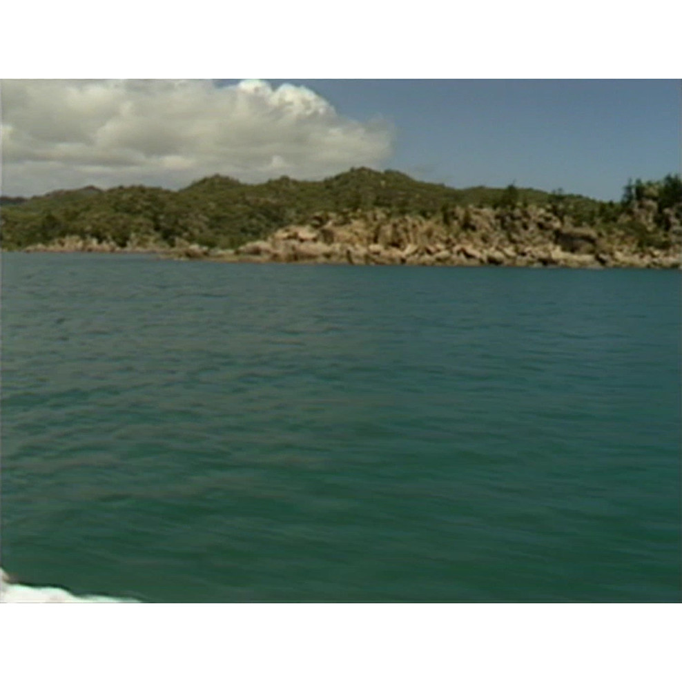 Doug Tarca Reef Link