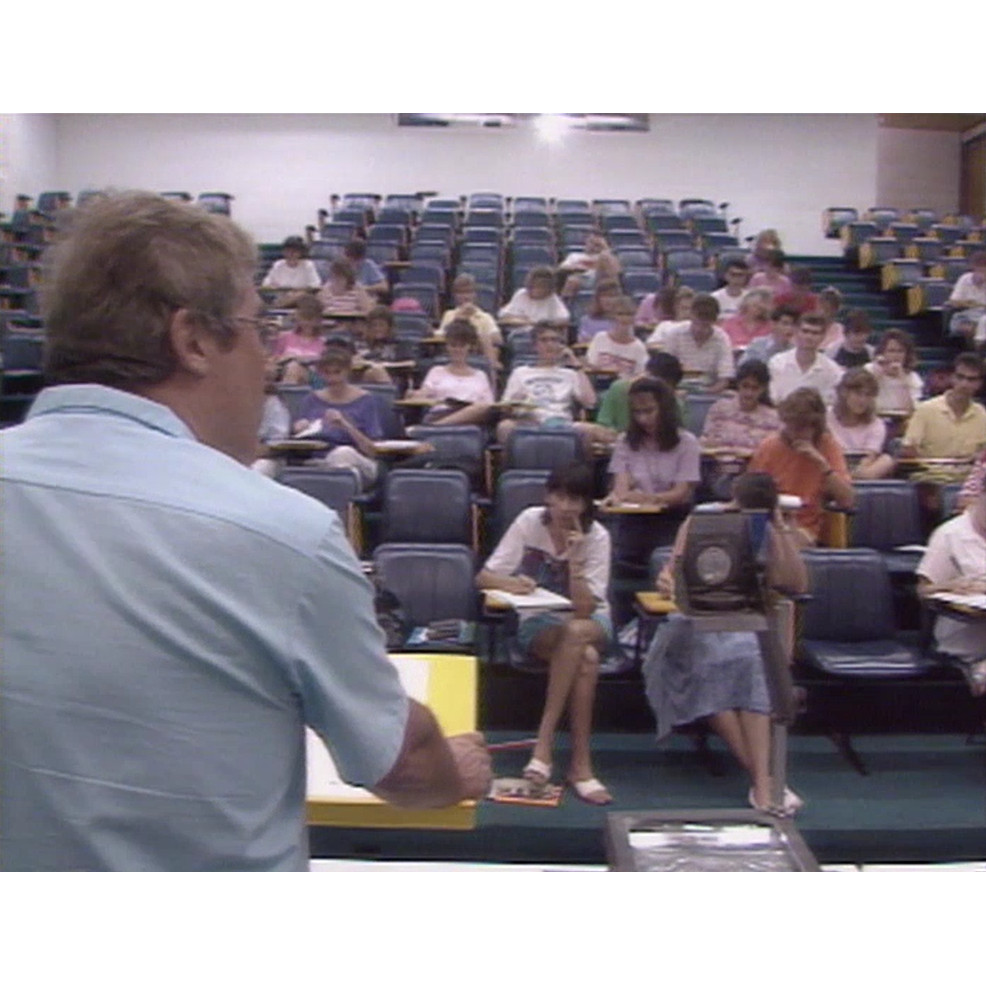 Bushland Beach development promo