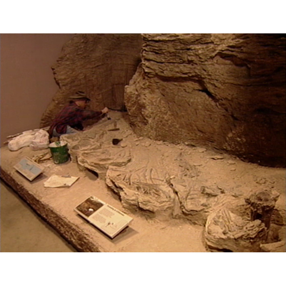 Townsville Travelodge