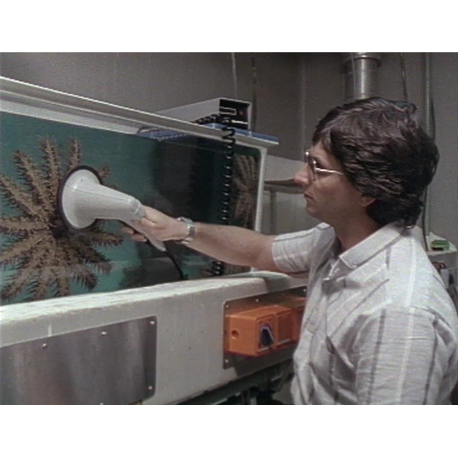 James Cook University Department of Tourism