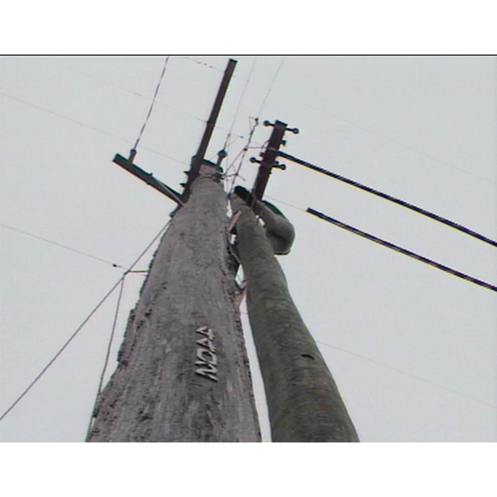 NORQEB: look up and live