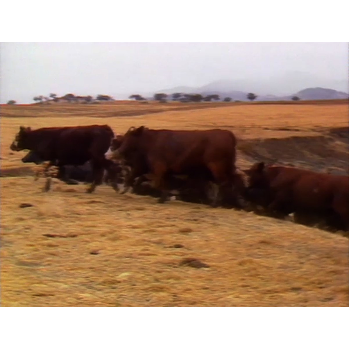 NQTV News Monday 27th February 1989