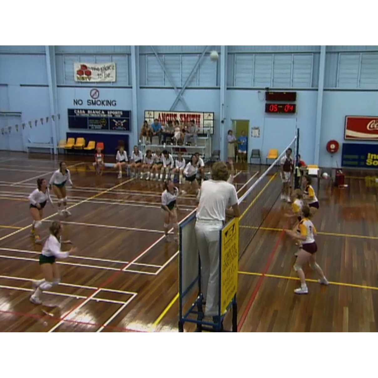 Vikings volleyball