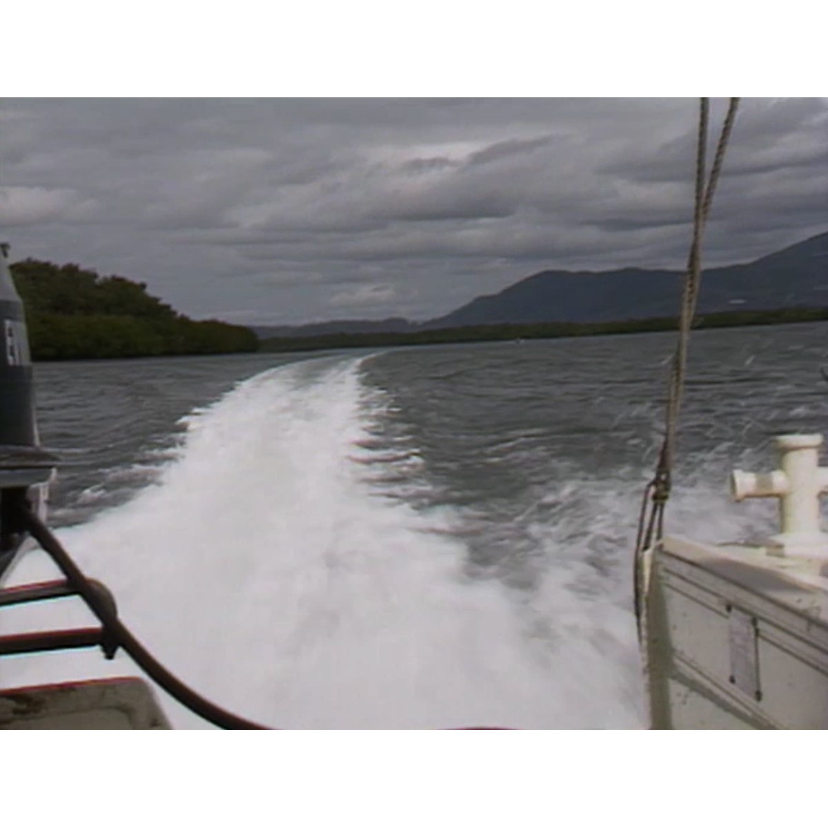 Family Fishing Classic 1989