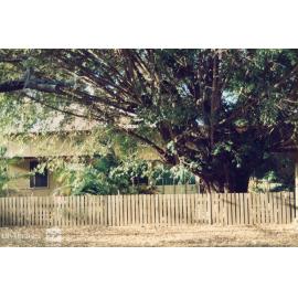 House, 56 Alexandra Street, North Ward, Townsville, ca. 1993