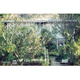 House, 15 Alexandra Street, North Ward, Townsville, ca.1993