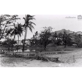 Anzac Park near the Townsville Lawn Bowls Club following Cyclone Althea, The Strand, Townsville, 25 December 1971