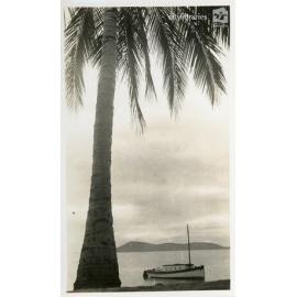 Palm Island, ca. 1950