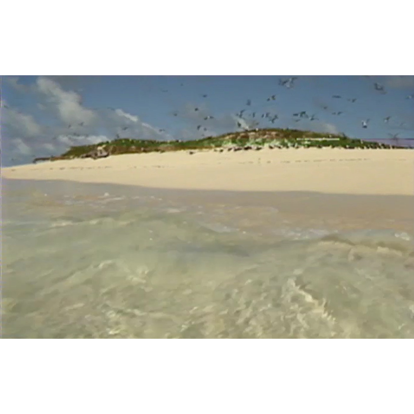 Miscellaneous footage with isolated cricket commentary