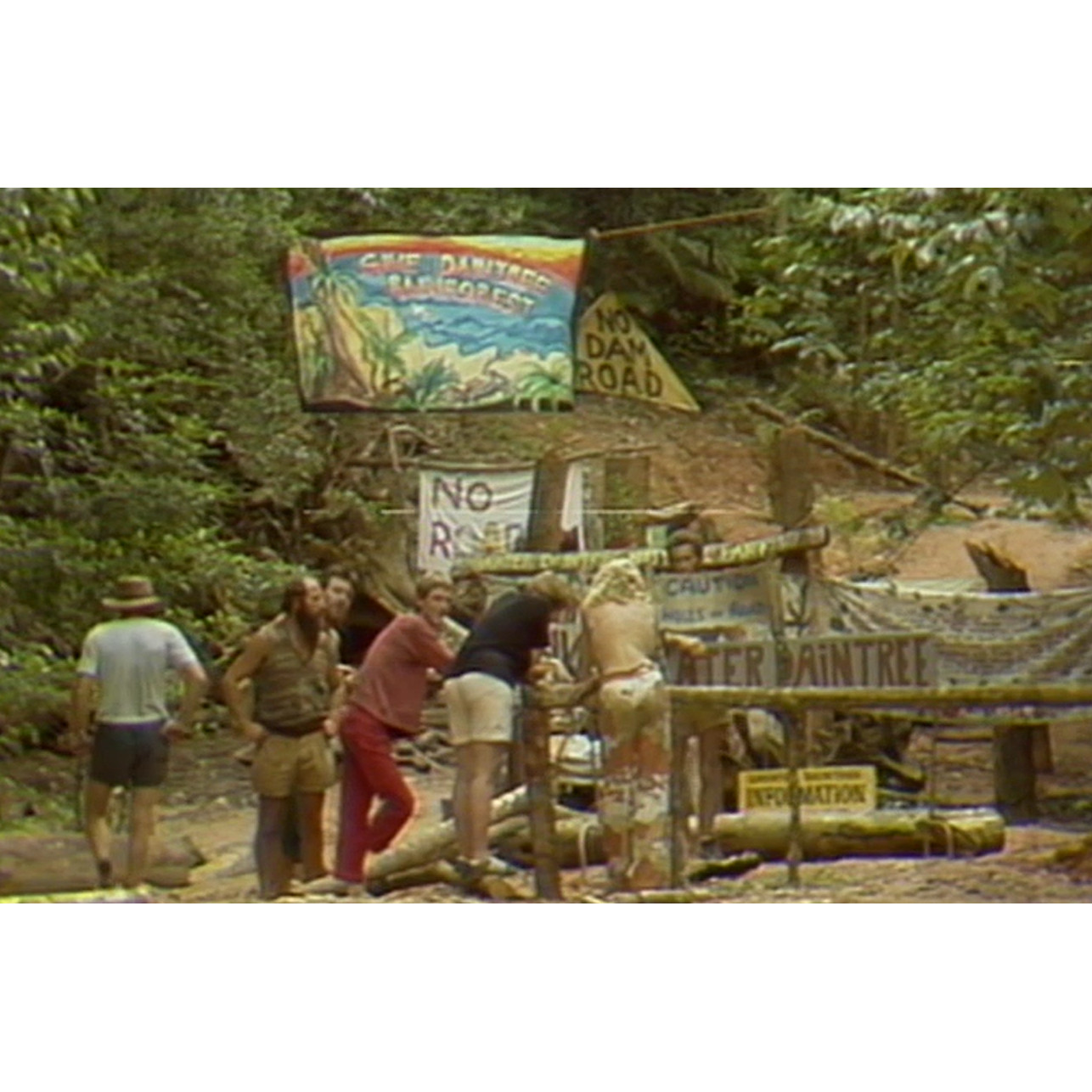 Cape Tribulation Road protest interview 