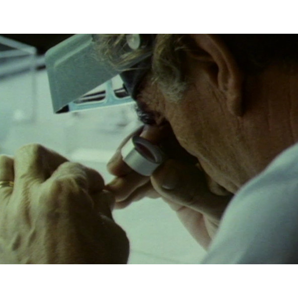 Argyle Diamond Mines 24-03-1983