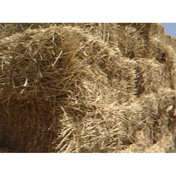 MIM Holdings Newlands Abbot Point October 1983 tape two