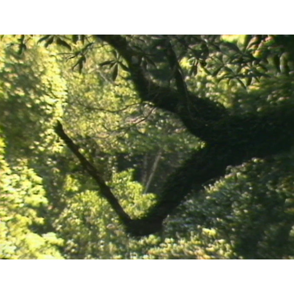 Save Downey Creek protest, swimmers at Los Angeles Olympics