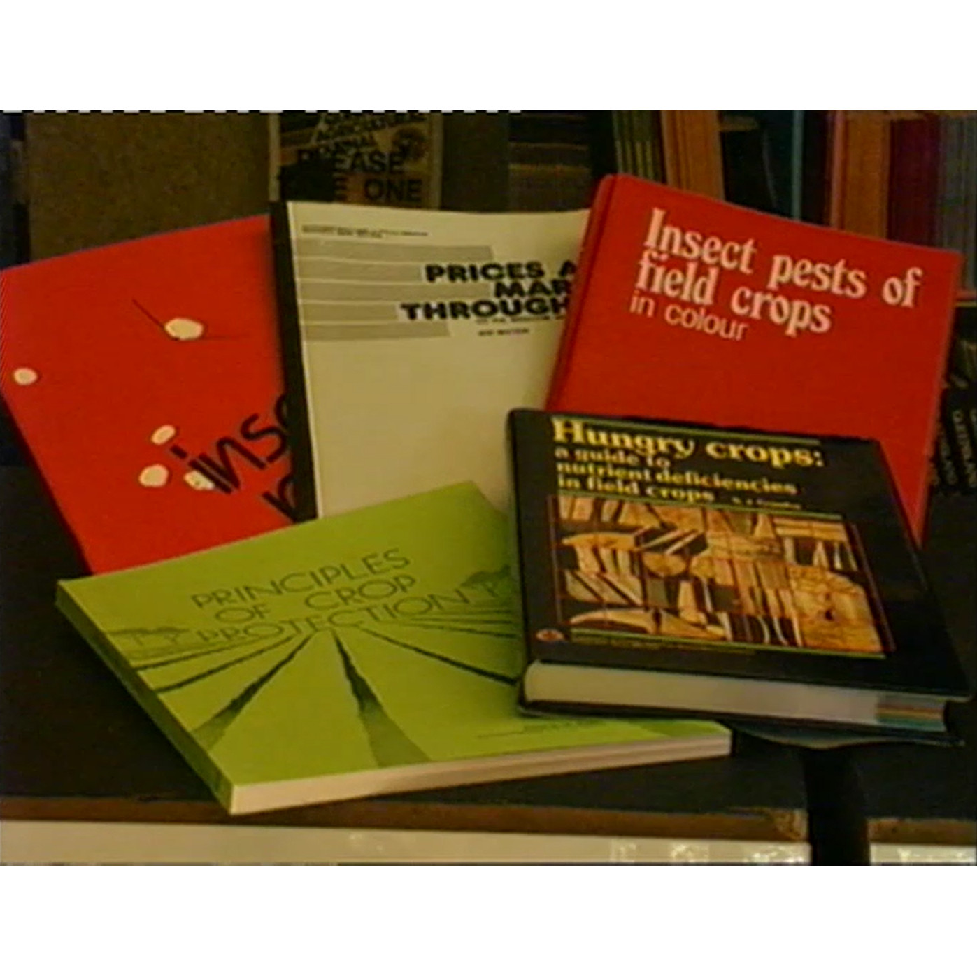 North Queensland Horticultural Exposition tape three