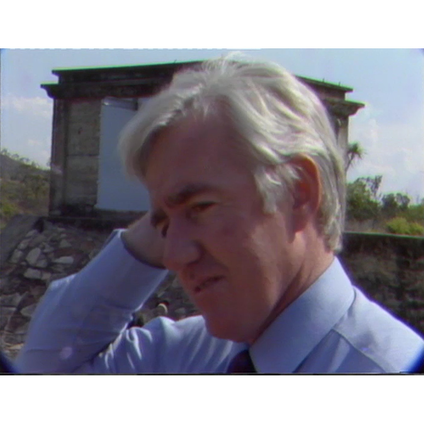 NQTV News: Telecom, Salvinia