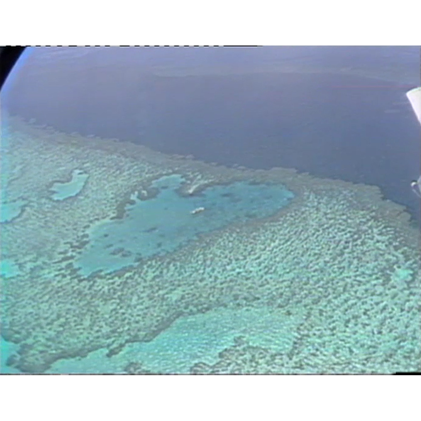 Newsweek: best of 1982